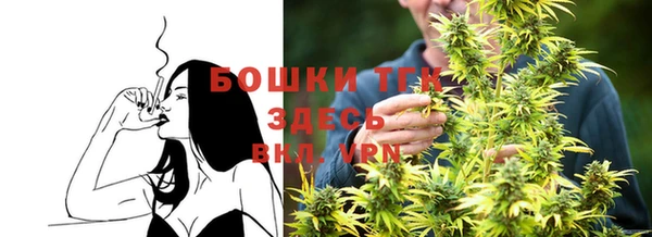 PSILOCYBIN Алзамай