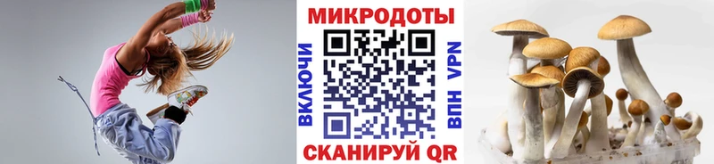 shop официальный сайт Изобильный Псилоцибиновые грибы GOLDEN TEACHER ОМГ ОМГ tor