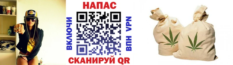 Конопля сатива Изобильный